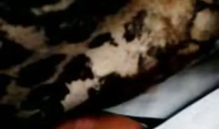 نوجوان لیلا عشق گربه خود لینک کانال سوپر سکسی در تلگرام را در پیاده روی نشان می دهد و بعد از آن fucks می کند