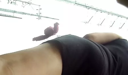 bimbo پیوستن به کانال سکسی در تلگرام جوان