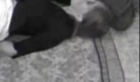 پس از کار HOT STENKY بدنبال کانال تلگرام سکس الکسیس کار !!!