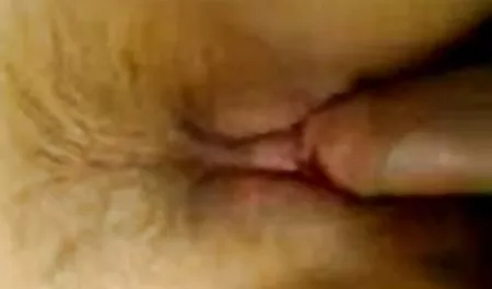 عکسهای لینک ربات های سکسی تلگرام پرنعمت 062