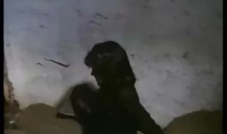 آماتور پورنو لینک کانال فیلم سکسی تلگرام آماتور جلد 16