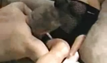 بلاتن لی قبل از لعنت کردن کانال سکسی لینک گربه هایش را در ملا عام جلب می کند