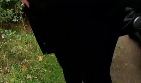 دختر سفید سکسی با لینک فیلم سوپر سکسی مشاعره بزرگ و الاغ بسیار جذاب